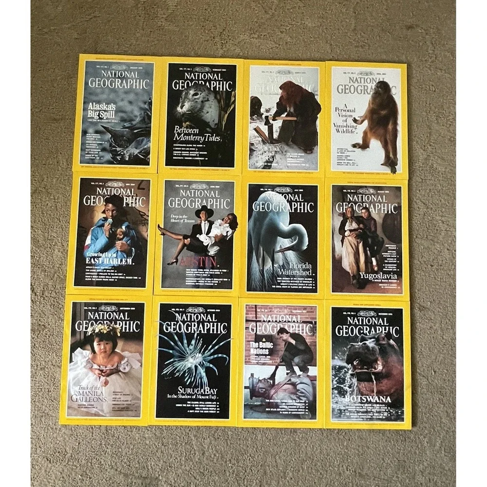 Lot of National Geographic Magazines 1990 lot of‎ 12 full set Jan-dec
